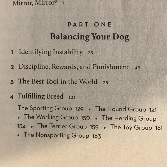 🧚🏿♂️3/$12🧚🏿♂️ Be the Pack Leader - Picture 3 of 4